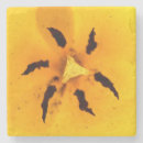 Search for pollen coasters Yellow