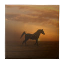 Search for arabian tiles Horse