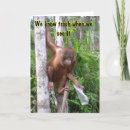 Search for funny divorce cards Relationships