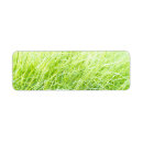 Search for grass green return address labels Field