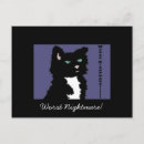 Search for black kitten postcards Fun