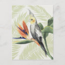 Search for foilage postcards Floral