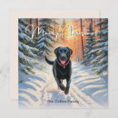 Search for black labrador christmas cards Dog breed