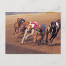 Search for animal track postcards Dog