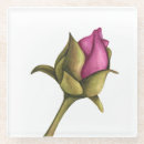 Search for buds coasters Pink rose