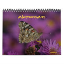 Search for bugs office supplies Butterflies