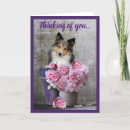 Search for cute sheltie cards Pet