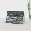 Search for loon cards Duck