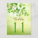 Search for wedding table number postcards Leaves