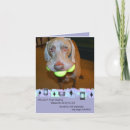 Search for weimaraner birthday cards Photography