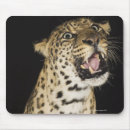 Search for aggressive mousepads Animal