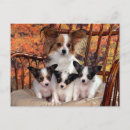 Search for “mum” postcards Bird