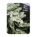 Search for winter white magnets Festive