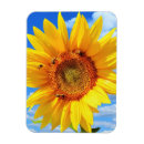 Search for bee image magnets Summer