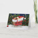 Search for gerbil cards Pet