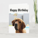 Search for middle age Birthday