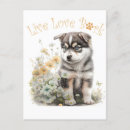 Search for malamute postcards Cute