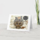 Search for gerbil cards From all of us