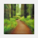 Search for smith magnets Jedediah smith redwoods