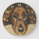 Search for irish clocks Animals