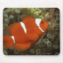 Search for wild creatures mousepads Animals in the wild