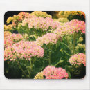 Search for almost mousepads Nature