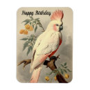 Search for birthday photo magnets Colourful