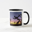 Search for yucca mugs View