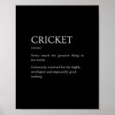 Search for funny cricket posters One day cricket