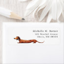 Search for dog walker return address labels Veterinarian