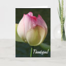 Search for red lily thank you cards Flower