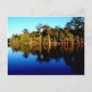 Search for unusual postcards Photograph