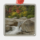 Search for new hampshire white mountains christmas tree decorations Fall