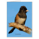 Search for dark brown cards Nature