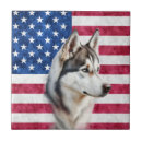 Search for american flag tiles Red white blue