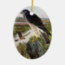 Search for hawk christmas tree decorations Birds of prey