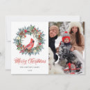 Search for red cardinal christmas cards Peace on earth