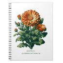 Search for calendula Herb