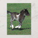 Search for miniatures postcards Bob langrish