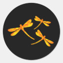 Search for fiery stickers Nature