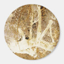 Search for oak leaf magnets Fall