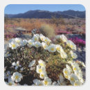 Search for anza borrego stickers Bloom