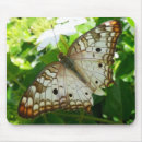 Search for jasmin electronics Nature