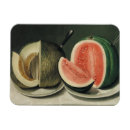 Search for melons magnets Watermelon