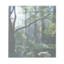 Search for light rays cards invites Leaves