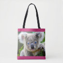 Search for koala bags Nature