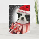 Search for boston terrier christmas cards Xmas