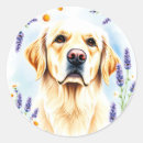 Search for golden retriever round stickers Floral