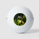 Search for bird golf balls Green