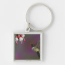 Search for throat key rings Ruby throated hummingbird